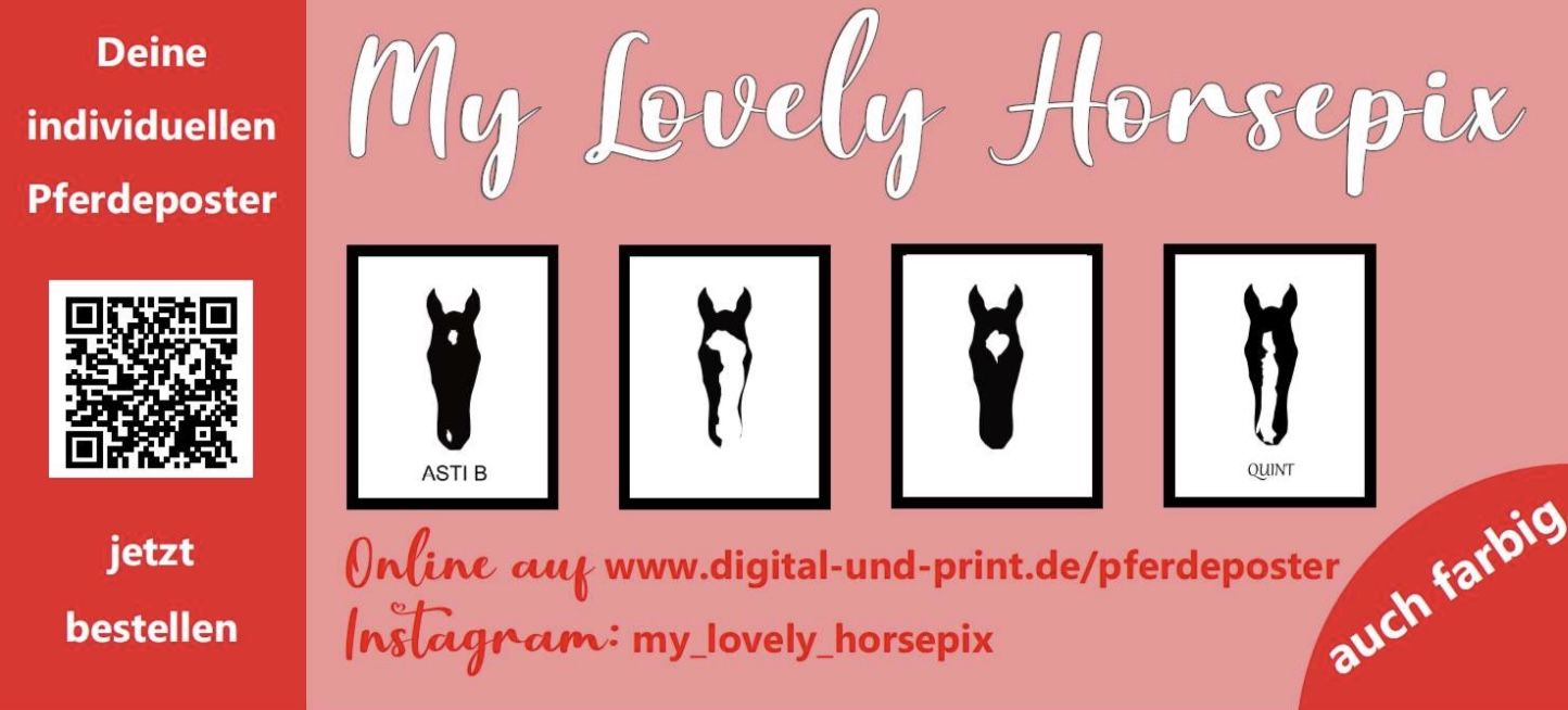 my lovely horsepix pferdeposter