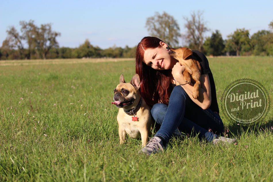 hunde fotografie maulbronn