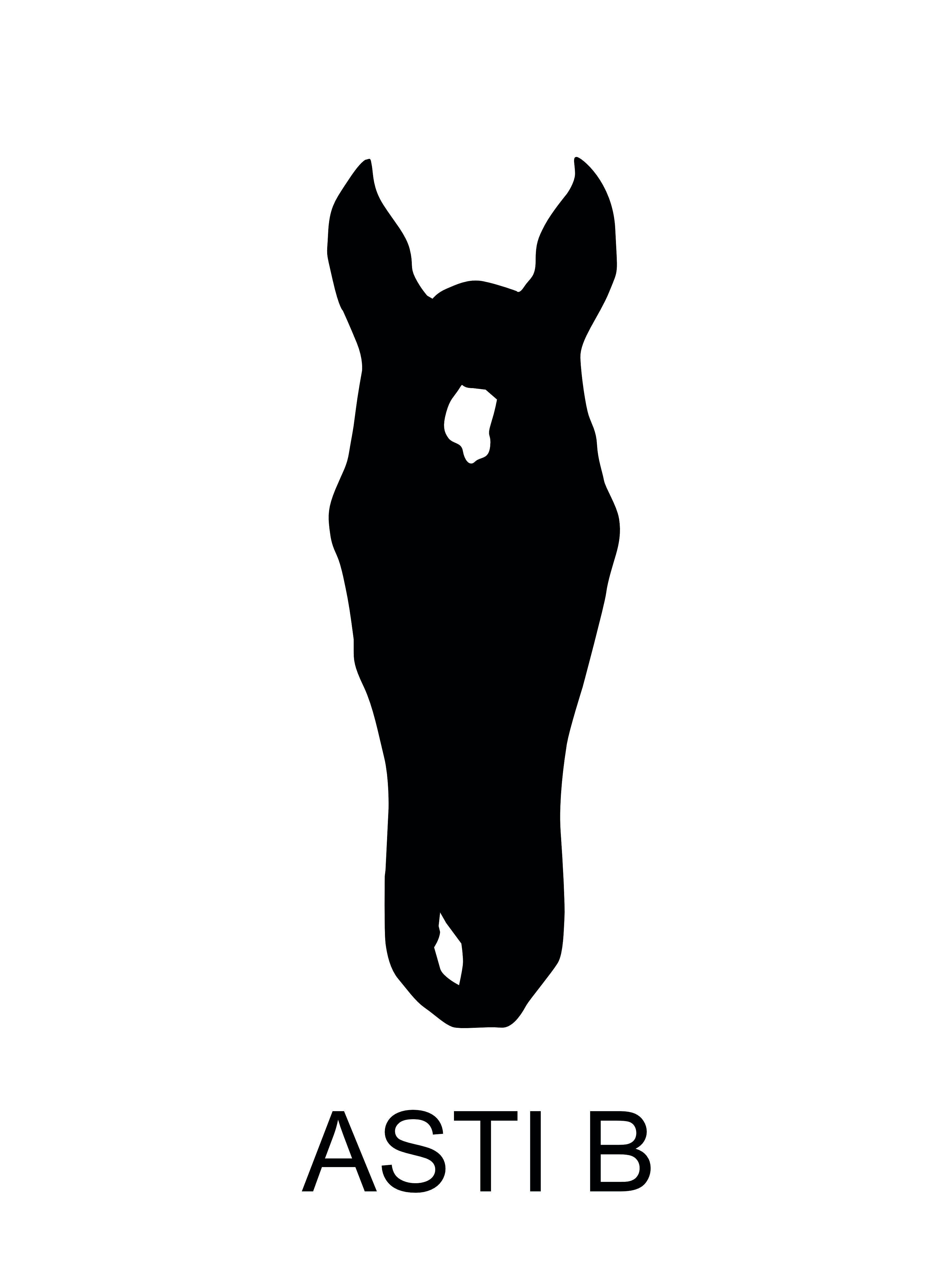 my lovely horsepix poster my lovely horsepix poster